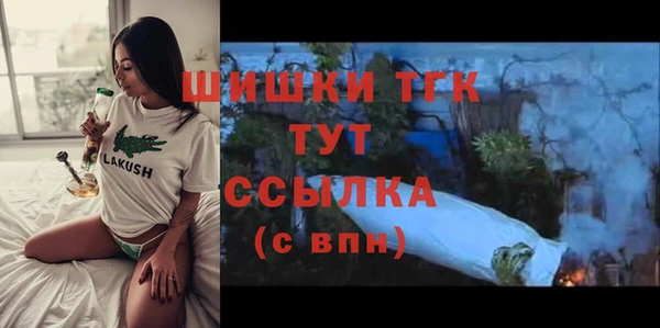 гашик Гусь-Хрустальный