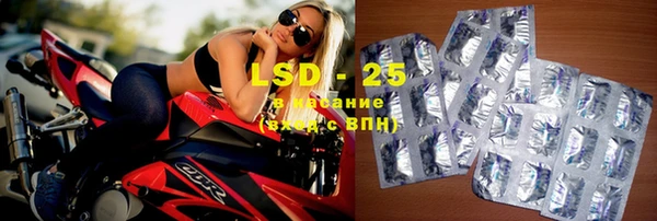 индика Лабытнанги