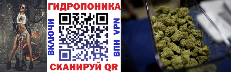 Бошки марихуана White Widow Жердевка